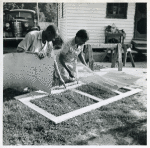 Applying the screen on the inside face of door; Demonstration of home screen door construction; Saint Mary's County, Ridge, Maryland, July 1941.