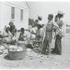 Southeast Missouri Farms. Family of Farm Security Administration client shredding cabbage. May 1938.