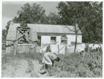 Old slave quarters on one of the plantations which is now part of La Delta Project, Thomastown, La., June 1940.