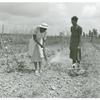 Rachel D. Moore, home management supervisor, giving demonstration in dusting plants from insects to Caldoria Smith; La Delta Project, Thomastown, La., June 1940.