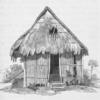 A hut at Malgre Tout having roseau reeds for walls with thatch of timmeet