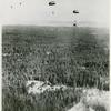 Aerial view of a clearing with soldiers from the African American 555th Parachute Infantry Battalion jumping with parachutes in the distance