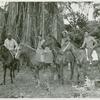 U.S. Navy African American horsemen posing in Vanuatu jungles