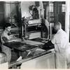 Negro and white youth at work in the woodmill