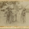 Congo Français; Défenses d'éléphant provenant de la région de Brazzaville.