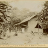 Congo Français; Le poste de Vouti, dans la forêt du Mayombe.