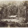 Filed & Rusk's Camp; Puruni, No. 43.