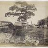 Entrance to prison; H.M.P.S.; Mazaruni.