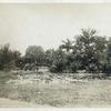 Bot. [botanical] gardens; No. 7.