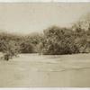Caburi Fall; Masaruni [Mazaruni] River; No. 61.