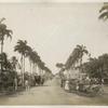 Meadow Bank Avenue; Demerara; No. 87.