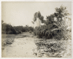 Bot. [botanical] gardens; No. 10.