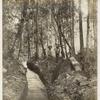 Cutting canal to convey water to Sluice; No. 48.