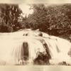 Llandovery Falls. St. Ann
