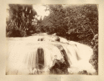 Llandovery Falls. St. Ann