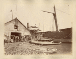 Loading Bananas. S.S. "Banan" for Boston U.S.A.