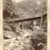 Bridge over Hope River. St. Andrew.