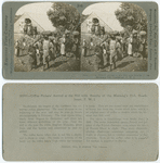 20505 - Coffee pickers' arrival at the mill with results of the morning's toil, Guadeloupe, F. W. I. [French West Indies]