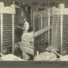 Pressing Oil from Cooked Cotton Seed, South Carolina