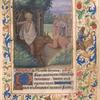 Death on a Bull