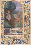 Death on a Bull