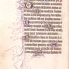 Leaf with pen-flourish decoration