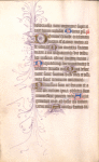 Leaf with pen-flourish decoration