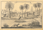Bridge in the Quoja's country; Coco trees; Porcupine; Jackal; Tiger trap