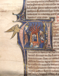 Daniel, historiated initial, with detail