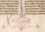 Lower border, putti with dromedary