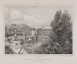 Chasse au cerf des Mariannes.