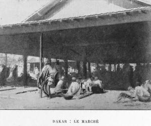 En Afrique centrale Niger-Bénoué-Tchad