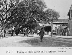 Sur la côte d'Afrique; villes, brousses, fleuves et problèmes de l'Ouest africain