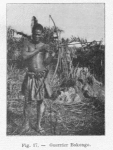 Guerrier Bakongo.