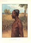 Bakongo de la région entre le Loange et le Kasaï.