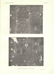 Anciennes broderies Bambala. XVIIIe siècle.