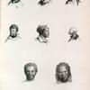 Nelle. Hollande: Ile des Kanguroos, 1. 2. 3. 4. 5. Femmea de l' tk, 6. Naturel de van diemen, Port Jervis, 7. Bam, 8. Djacamel.