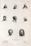 Nelle. Hollande: Ile des Kanguroos, 1. 2. 3. 4. 5. Femmea de l' tk, 6. Naturel de van diemen, Port Jervis, 7. Bam, 8. Djacamel.