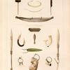 Nouvelle-Hollande: 1. Hache du port du Roi Georges., 2. Couteau   id., 3. Segate de la baie Jerois., 4. Piroque d ecorce   id., 5. Collier en fétu de jone de la baie Jerois., 6. Collier en coguilles   id., Nouvelle-Zélande: 7. 8. Arnes de l'anse du massacre., 9. 10. Hamecons de l'anse de l'anse de l'Astrolabe., 11. 12. 13. Boucles d' oreilles de l'anse de l'Astrolabe., 14. 15. Mortier et pilen pour broyer la racine de fpigére., 16. Poënamou ornament de col., 17. Dent de pore   id.