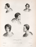 Nouvelle Zélande. (Baie Tazman.) 1. Naturels de l' Anse de l' Astrolabe., 2. Caghi-taghi., 3. 4. Naturels de l' Anse de l' Astrolabe., 5. Jkaïtaïtaki.