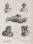 Nouvelle - Zélande. 1. 2. Vieille Femme et esclave de Wangari., 3. Pako chef du cap Reinga., 4. Tatouage de la Cuisse de Lako., 5. Naturel de Reinga.