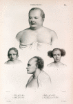 Tonga-Tabou. 1. Lalou chef de Moua., 2. Tahofa, chef de Béa., 3. William fils de lalou., 4. Niculala, parent de lalou.