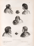 Nouvelle - Zélande. 1. 2. Profil et face d' epaé enfant de Wangari., 3. Ekara Jeune fille de la baie des lles., 4. Bouche d' Ekara., 5. 6. Tawiti et sa Femme. 7. Bouche de la Femme de Tawiti.