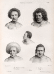 Tonga-Tabou. 1. Un mataboulai de Palou., 2. Vai-totai., 3. Kl  oulivaïlé., 4. Tahofa II., 5. Finaou.