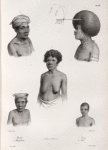 1. Mambéo; 2. Mangobarac; 3. Femme de Kouaoui; 4. Dorey; 5. Hani.