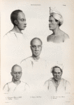 Moluques.: 1. César jeune papou de Gilolo; 2. Urydag. (Vendredi.); 3. Chinos d' Amboine; 4. Oui-tian-soui chinois; 5. Pamaka.