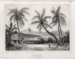 Rouma-Tiga. Residence de M. Martens. (Amboine.).