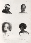 1. Cesar jeune Papou de Gilolo; 2. Kouranou, chef de Dorey; 3. Naturels de Dorey; 4. Chinois d'Amboine (Moluques.).