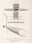 Vanikoro.: 1. Plan d'une grande pirogue du village de Manerai; 2. Elevation de cette pirogue.