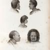 Mammifères: 1. 2. Naturels de la  Nouv-zélande; 3. Jeune file du Méme lieu; 4. Naturels de Tonga.